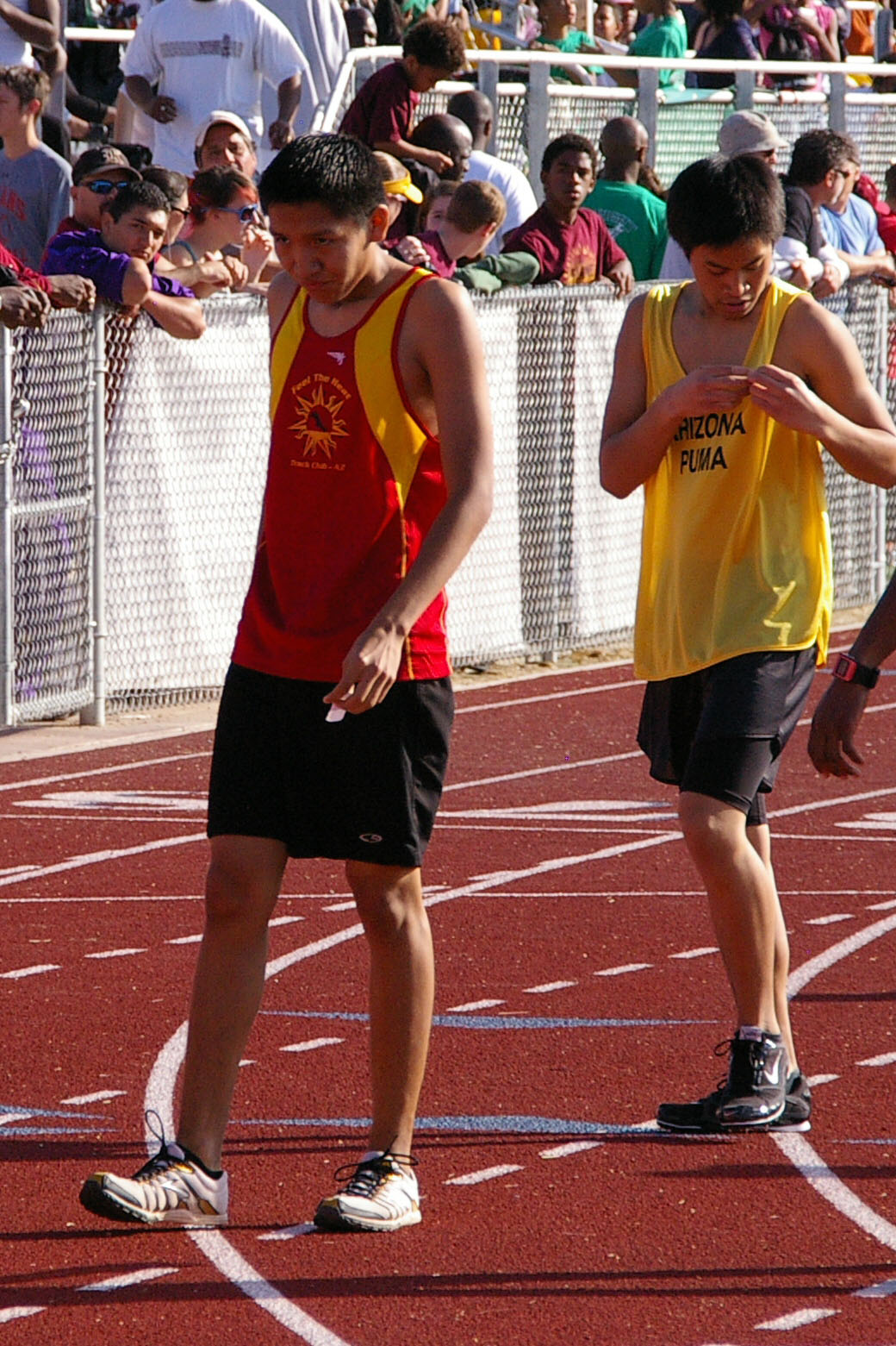 IMGP2636_C.jpg