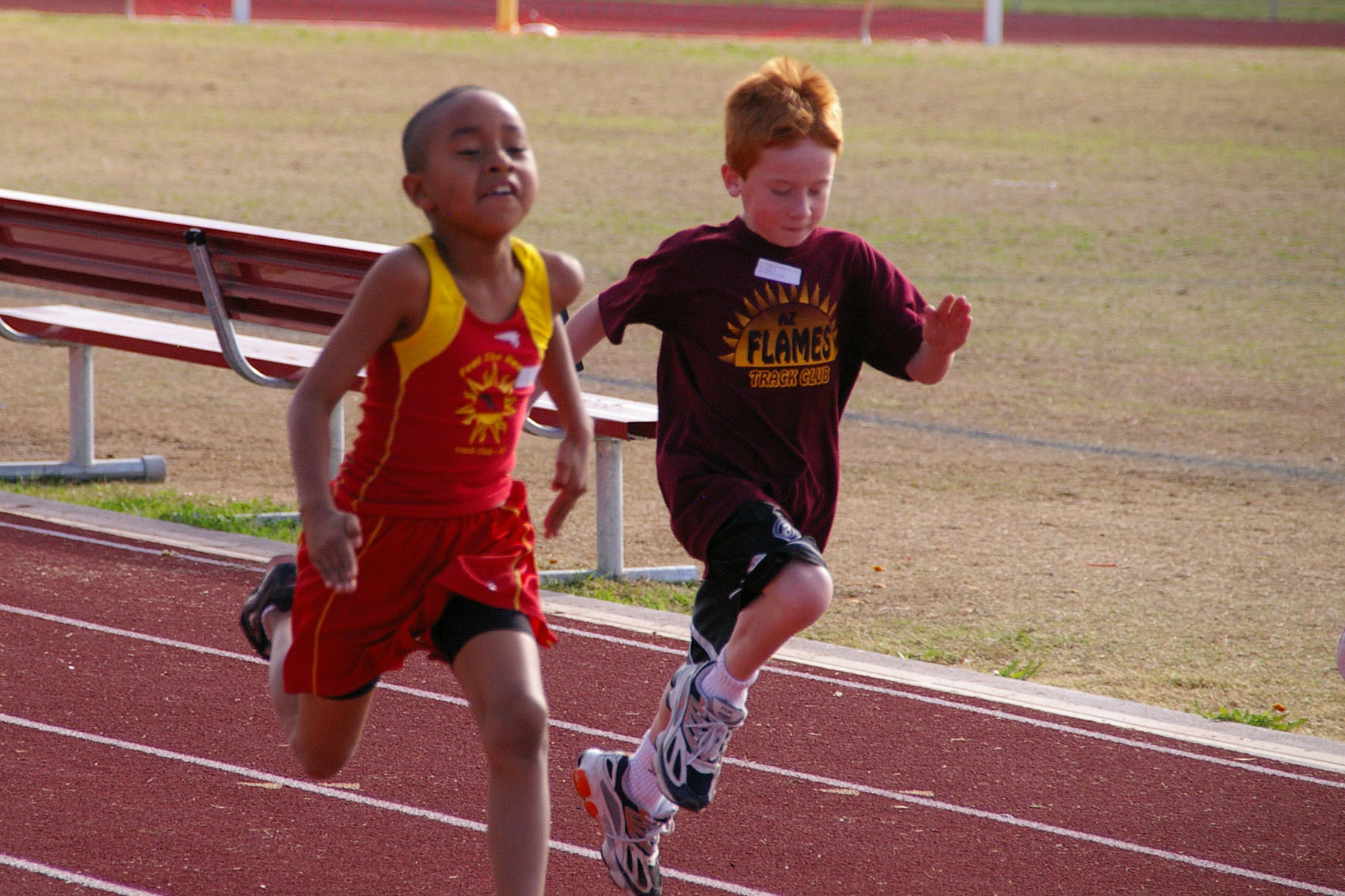 IMGP2669_C.jpg