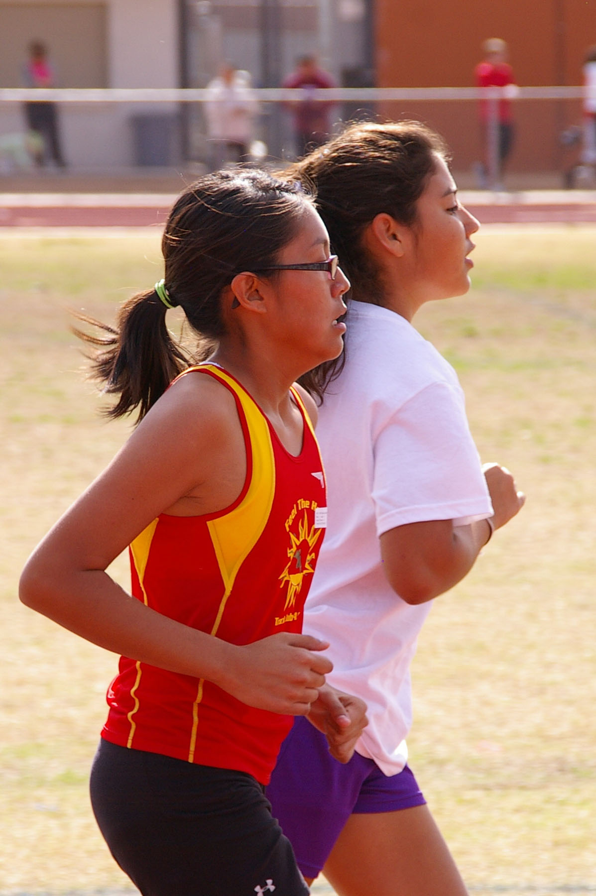 IMGP2806_C.jpg