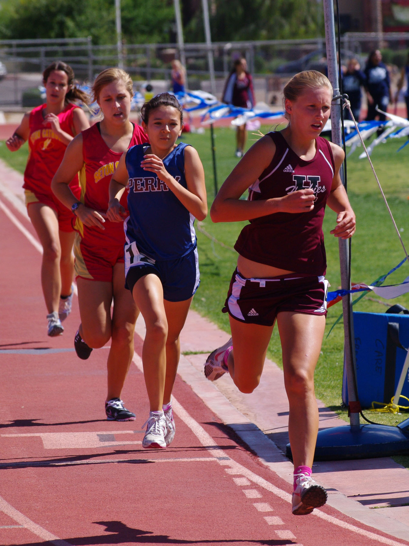 IMGP5689_C.jpg