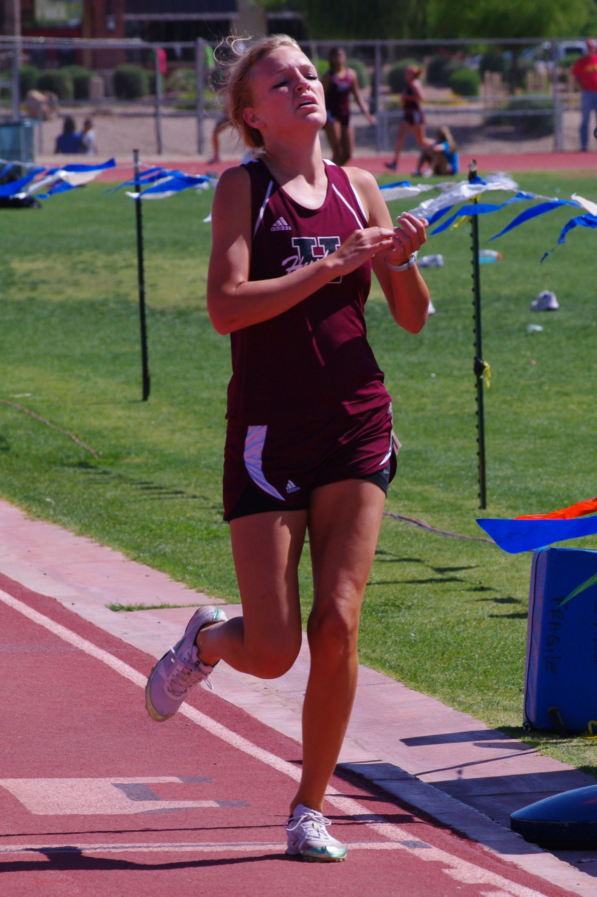 IMGP5690_C.jpg