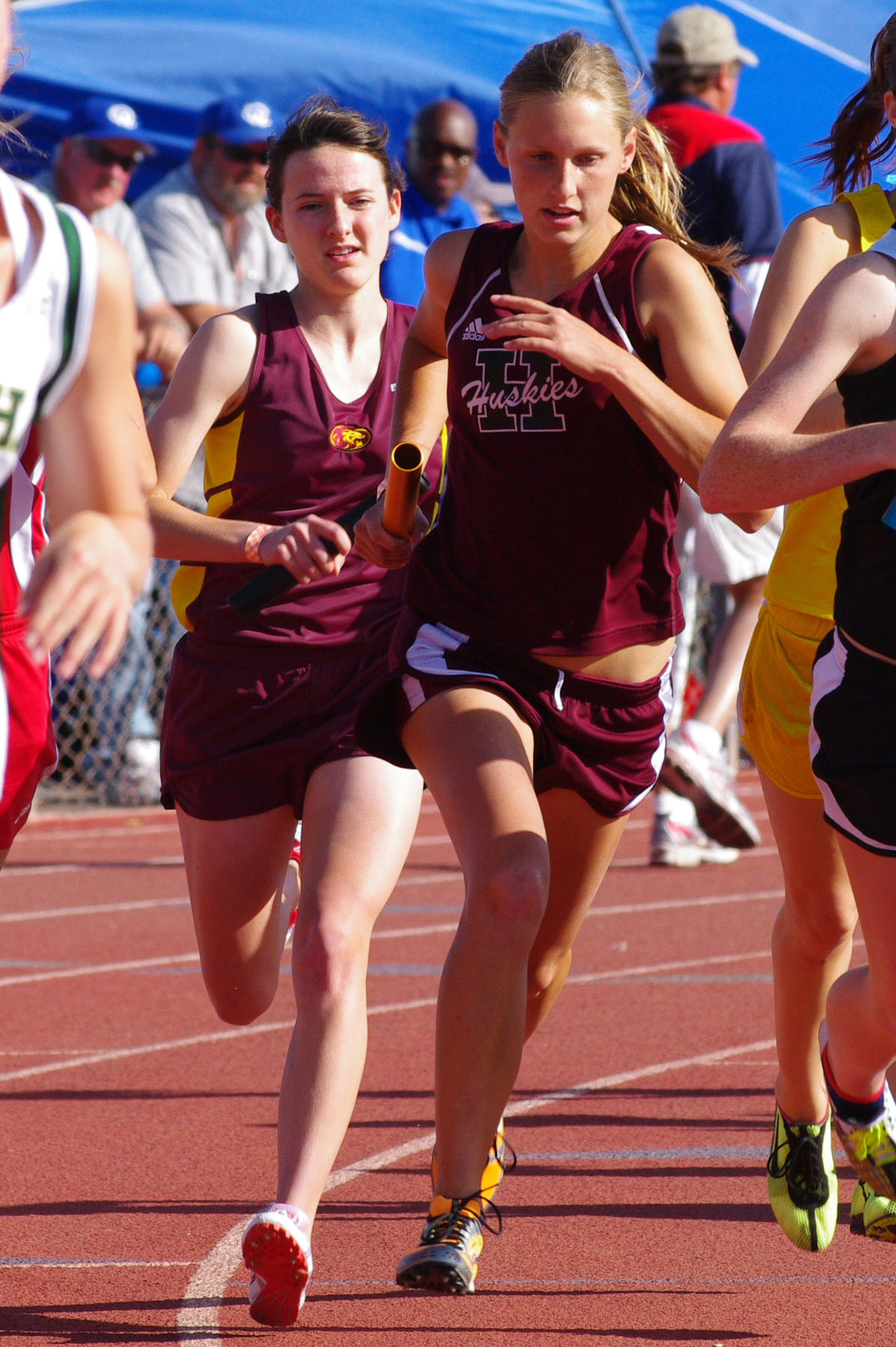 IMGP4518_C.jpg