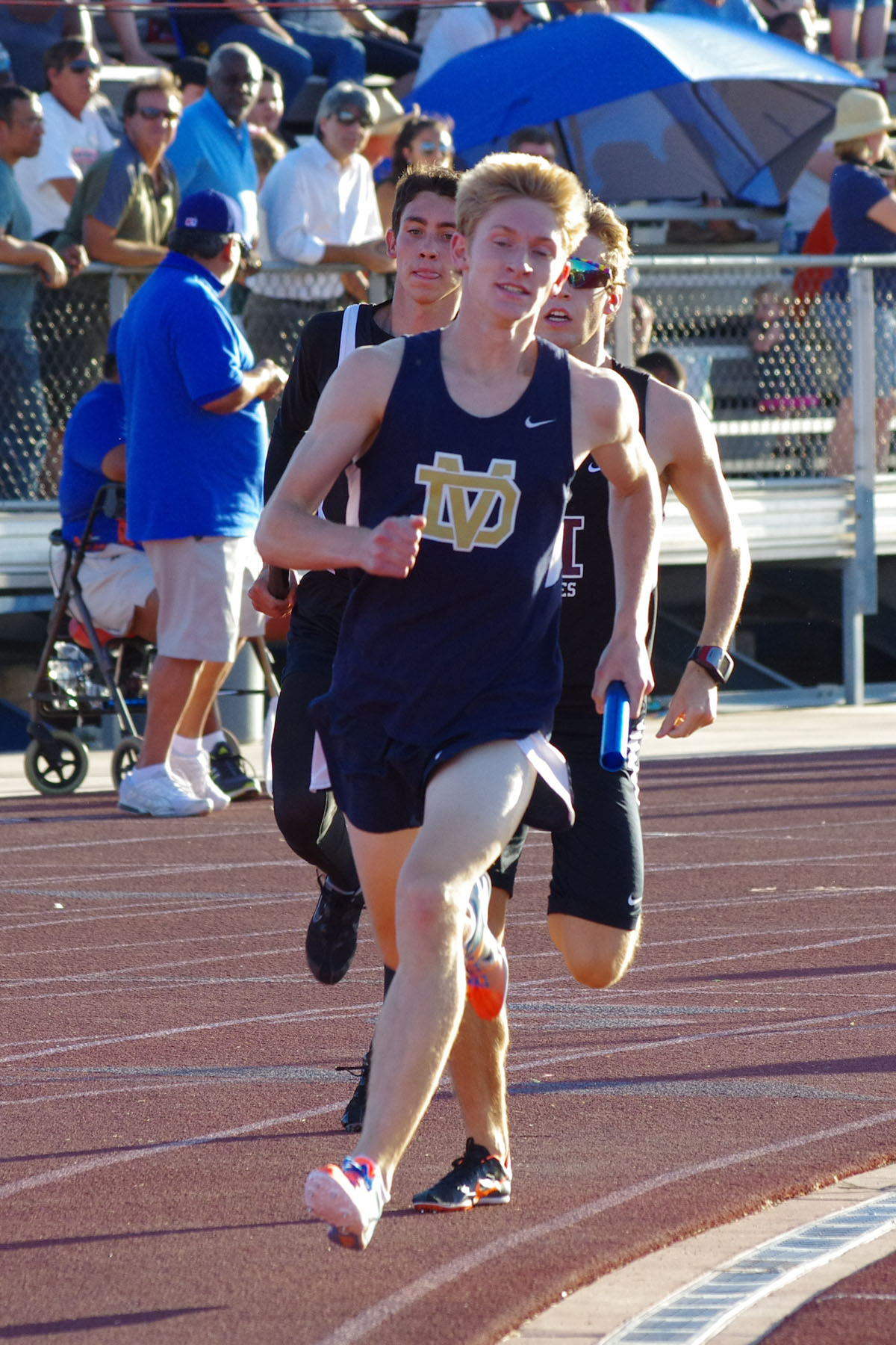 IMGP6175_C.jpg