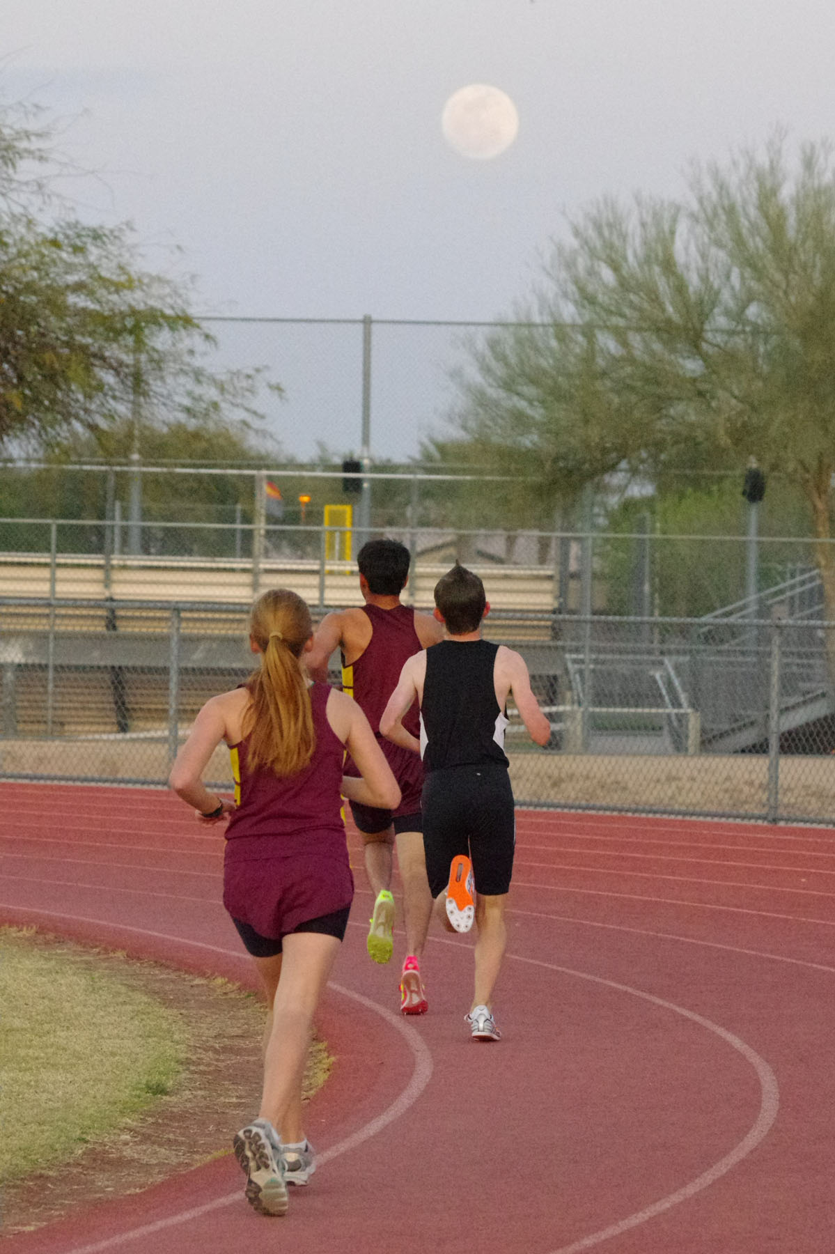 IMGP0348_C.jpg