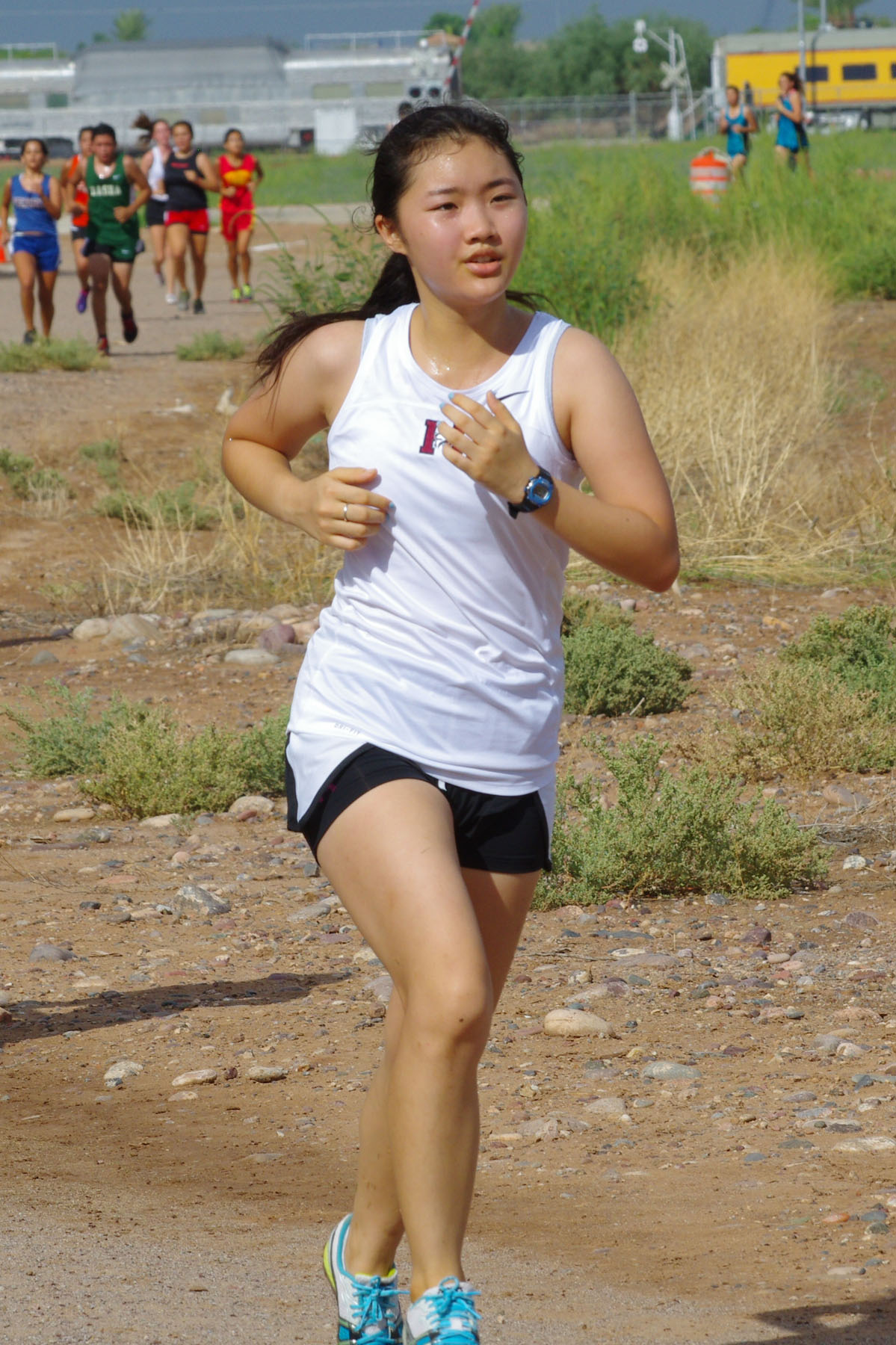 IMGP9320_C.jpg