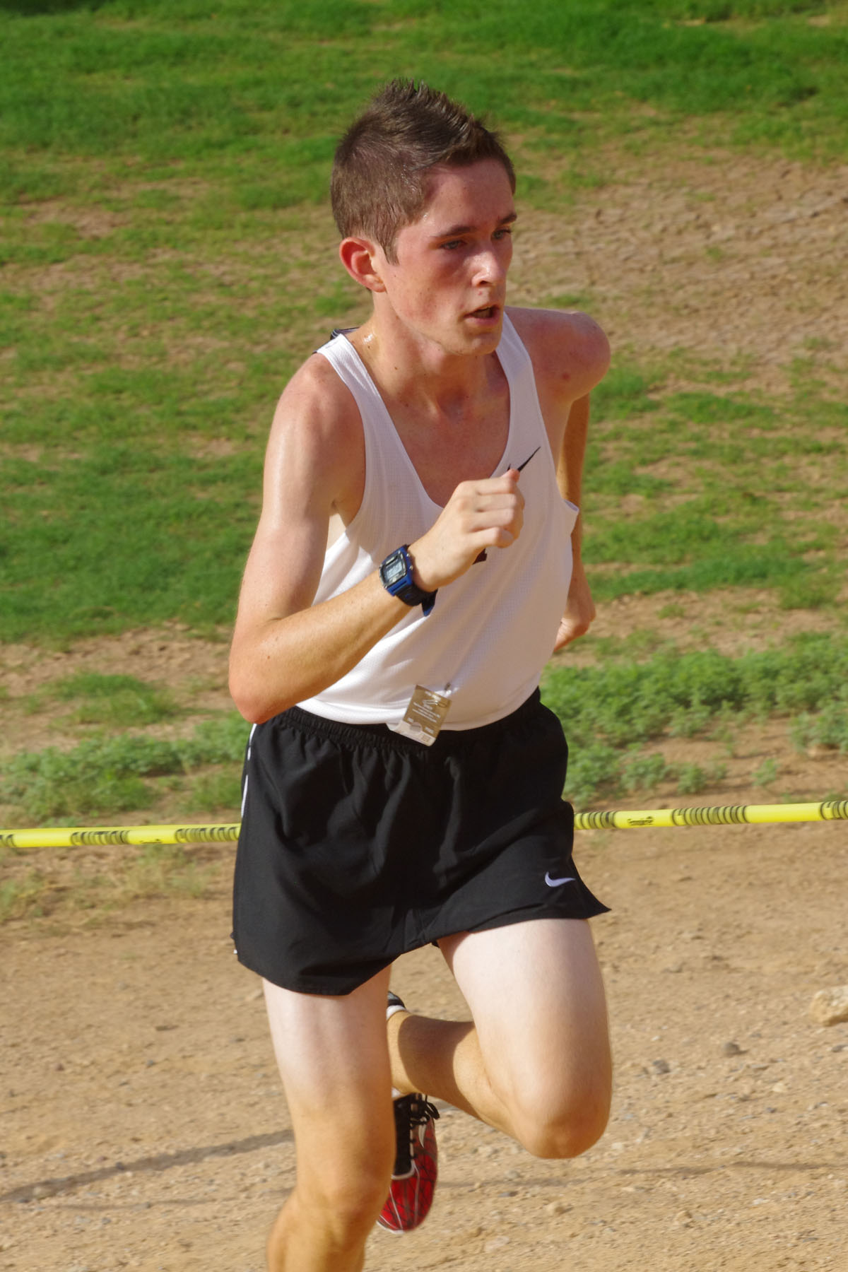 IMGP9127_C.jpg