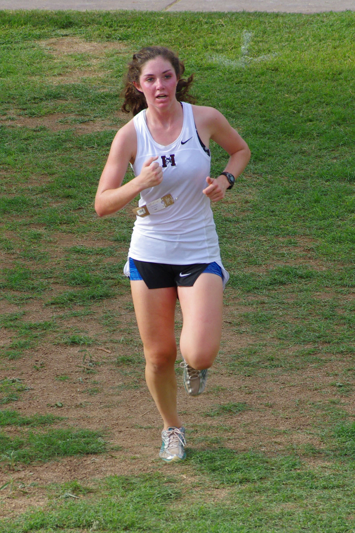 IMGP9146_C.jpg