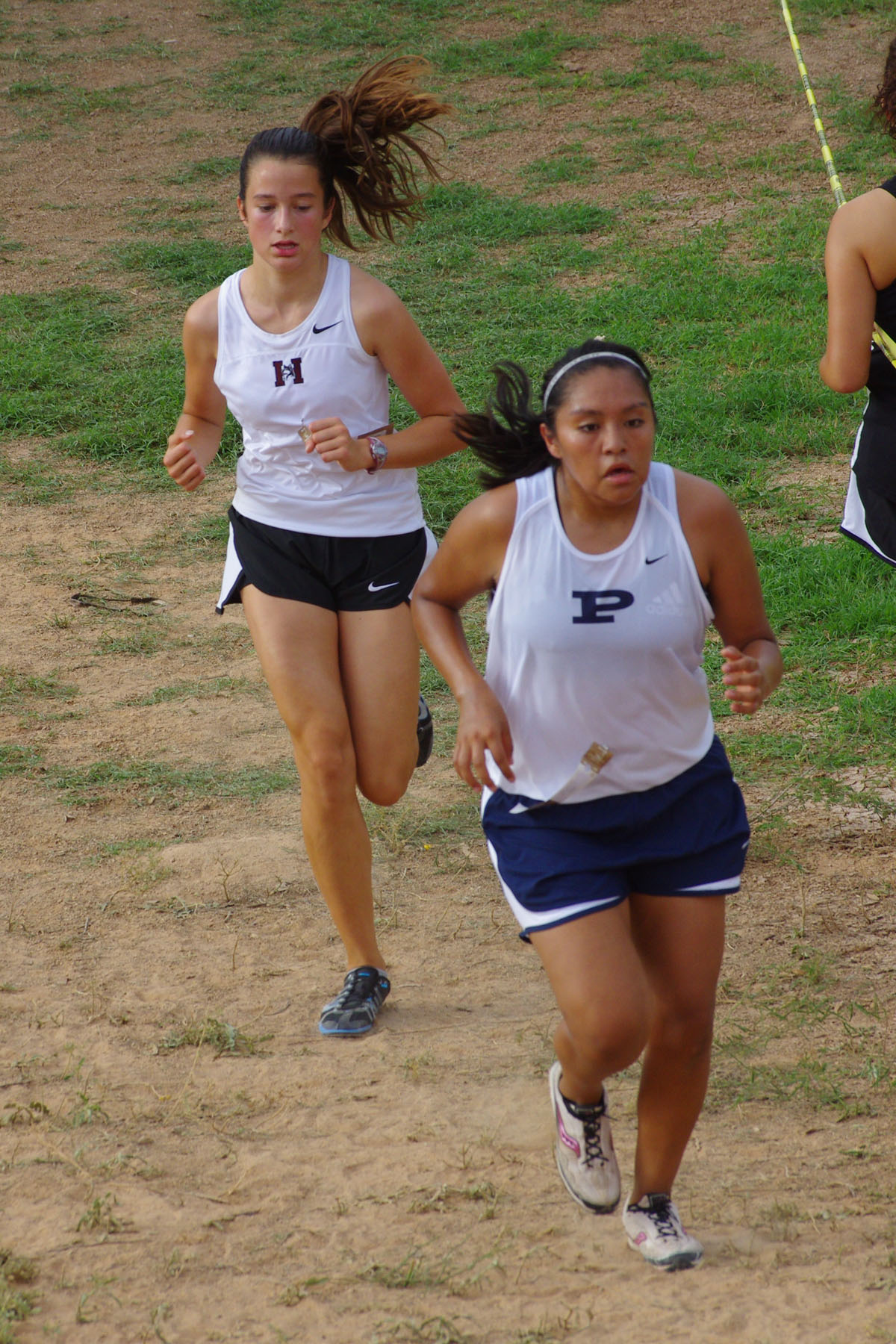 IMGP9168_C.jpg