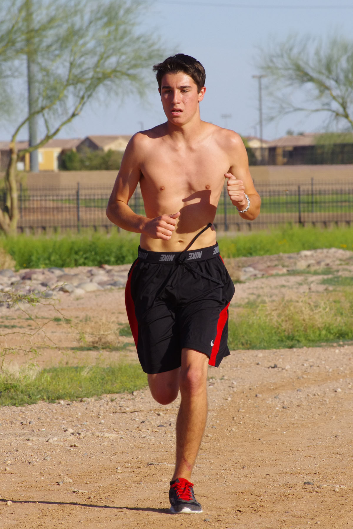 IMGP4648_C.jpg