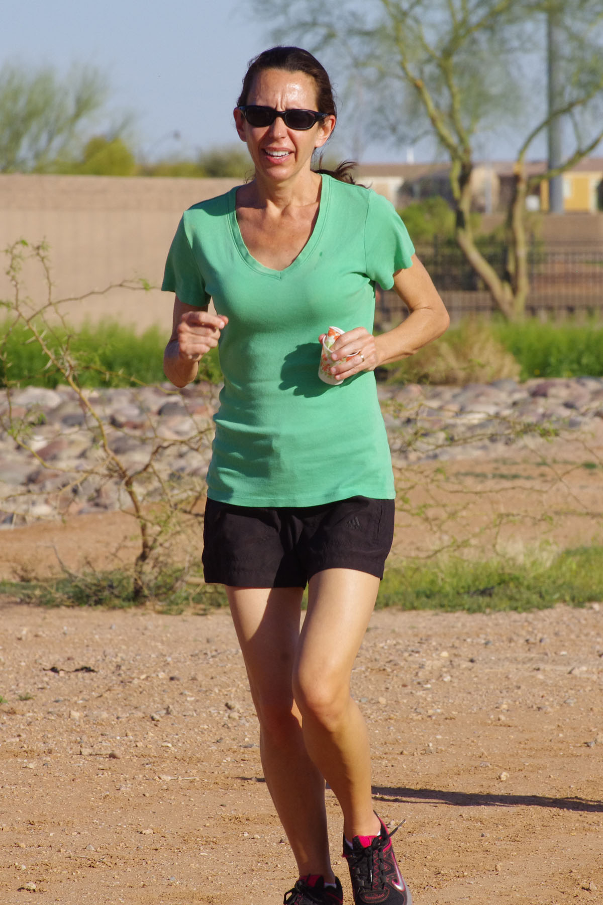 IMGP4690_C.jpg