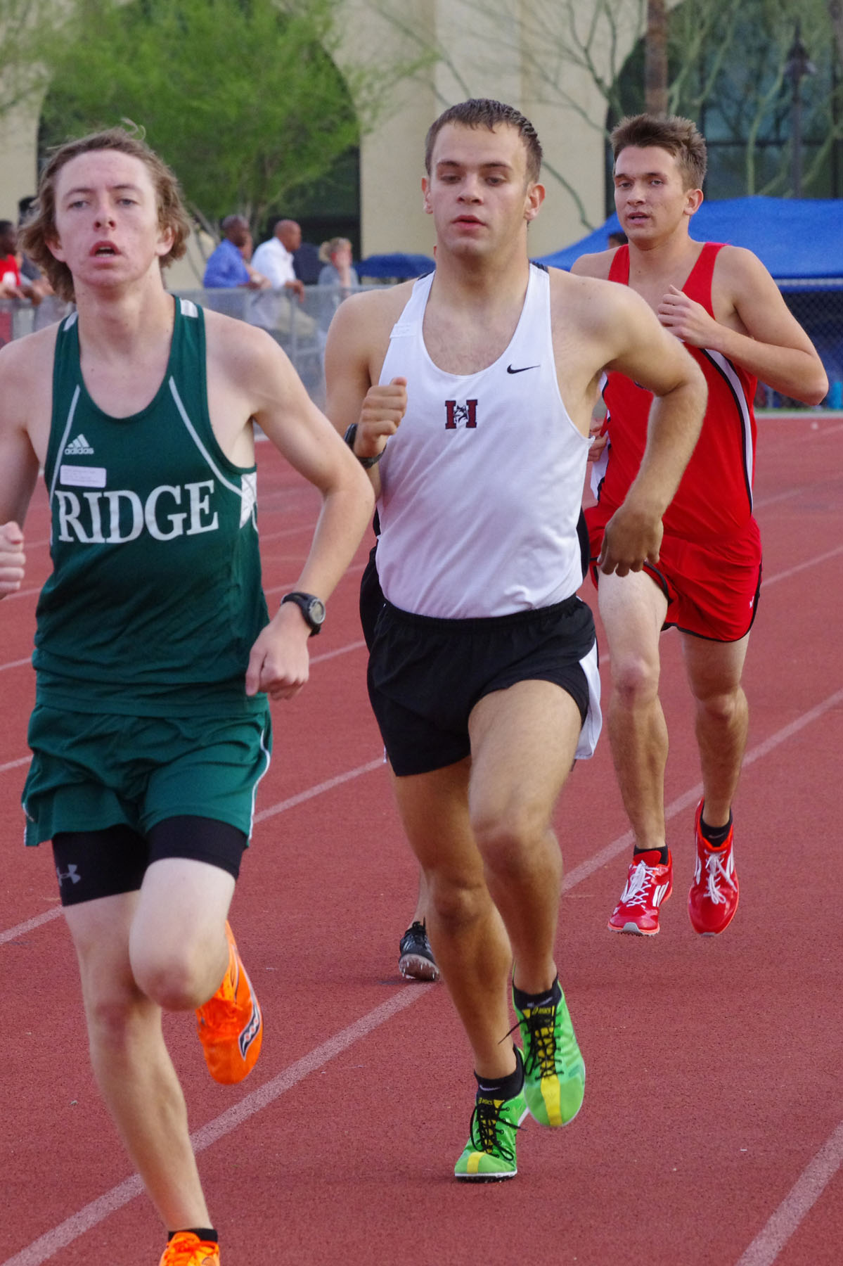 IMGP4073_C.jpg