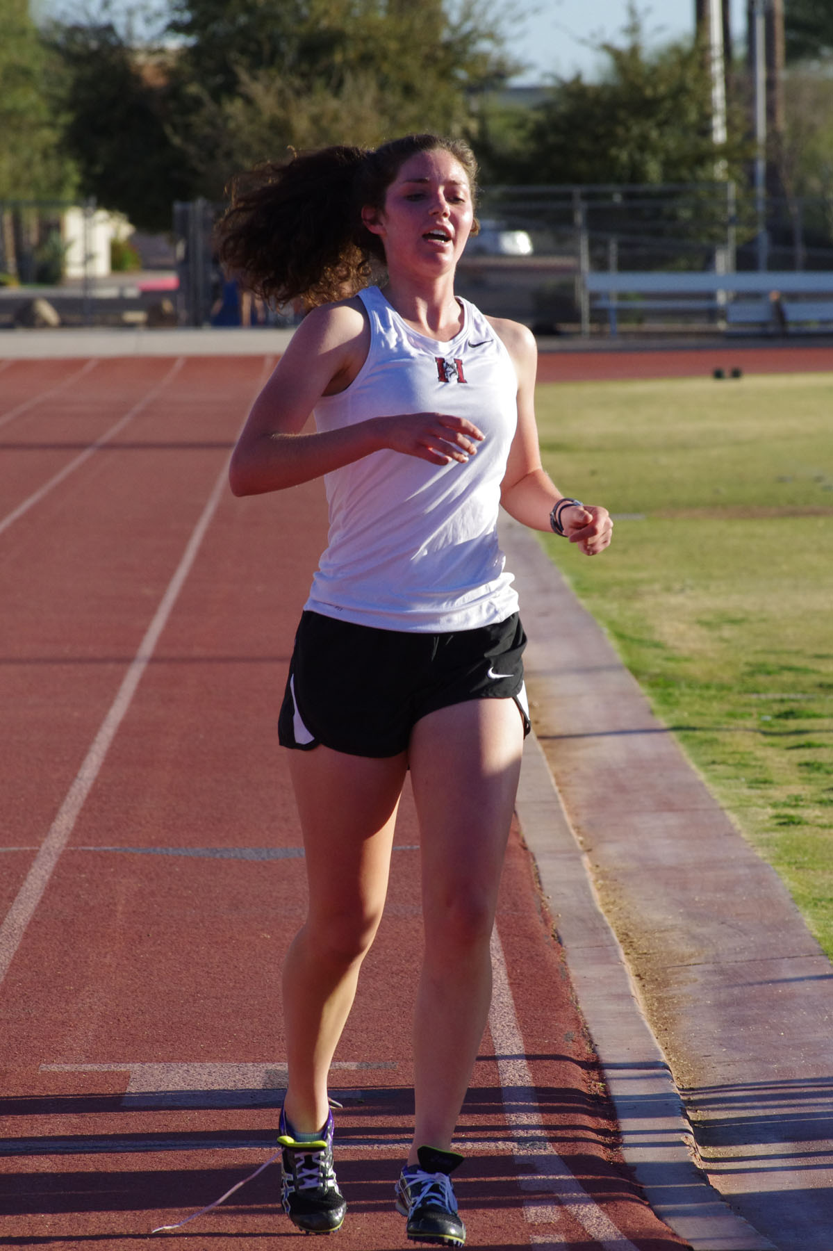 IMGP3440_C.jpg