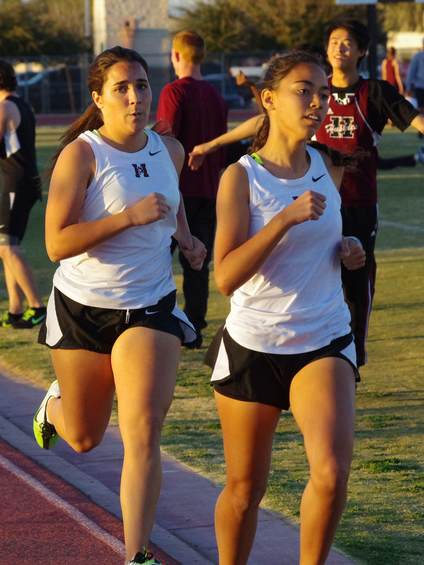 IMGP3627_C.jpg