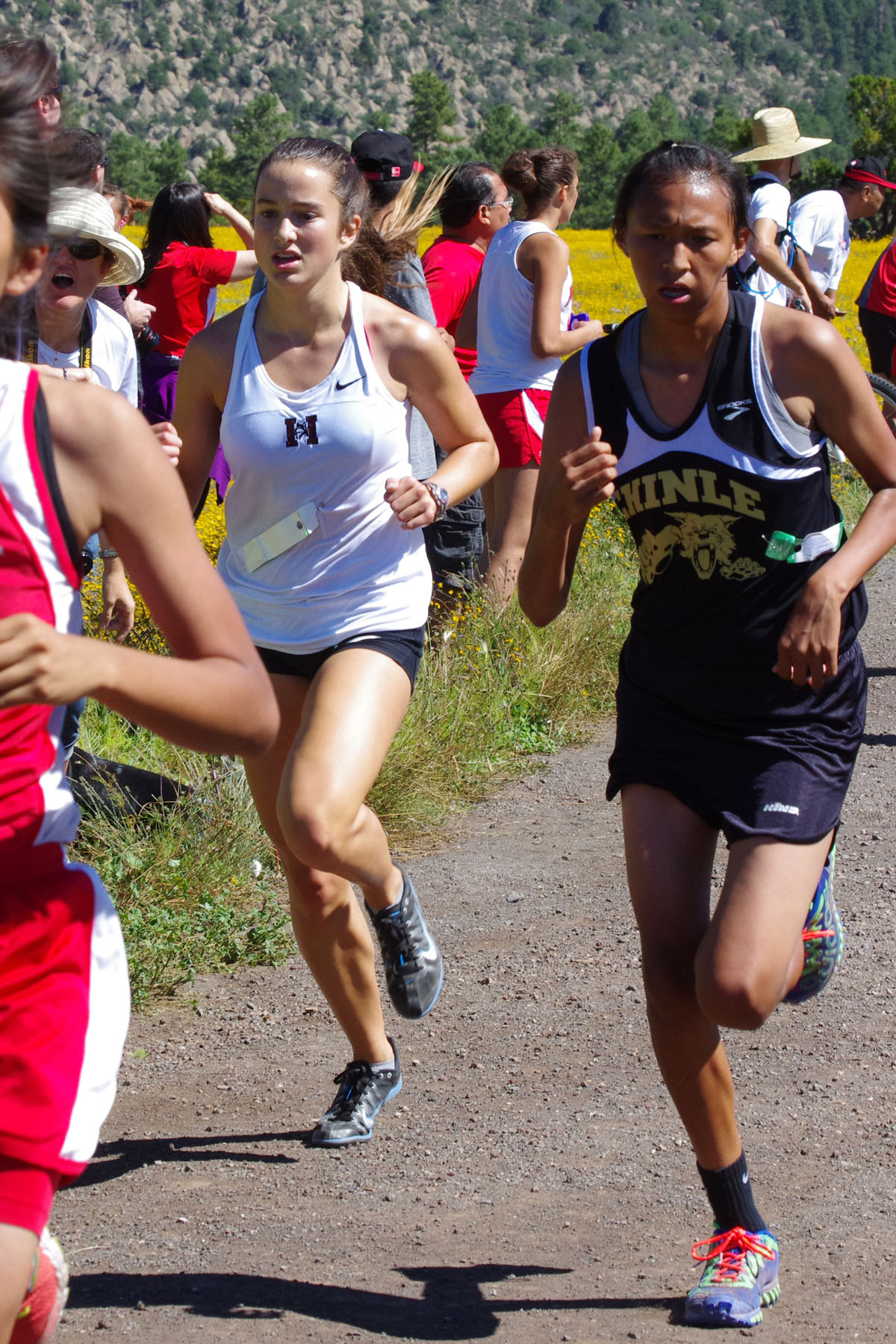 IMGP2971_C.jpg