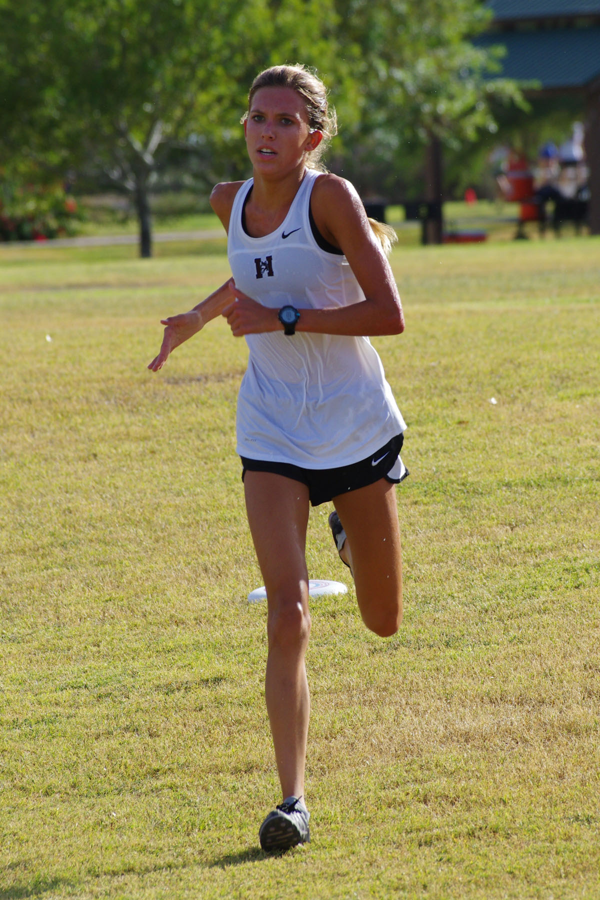 IMGP4130_C.jpg