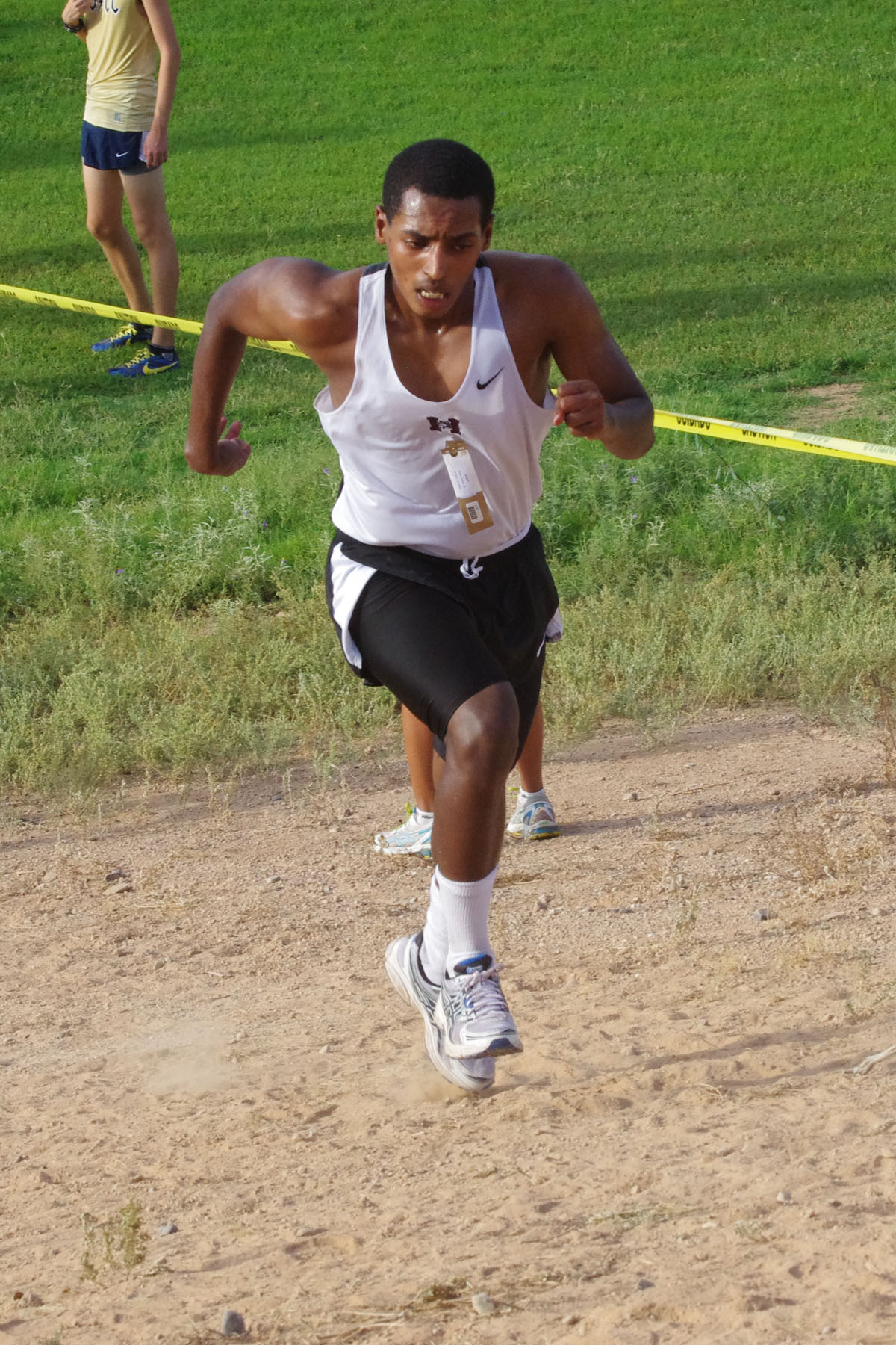 IMGP1577_C.jpg