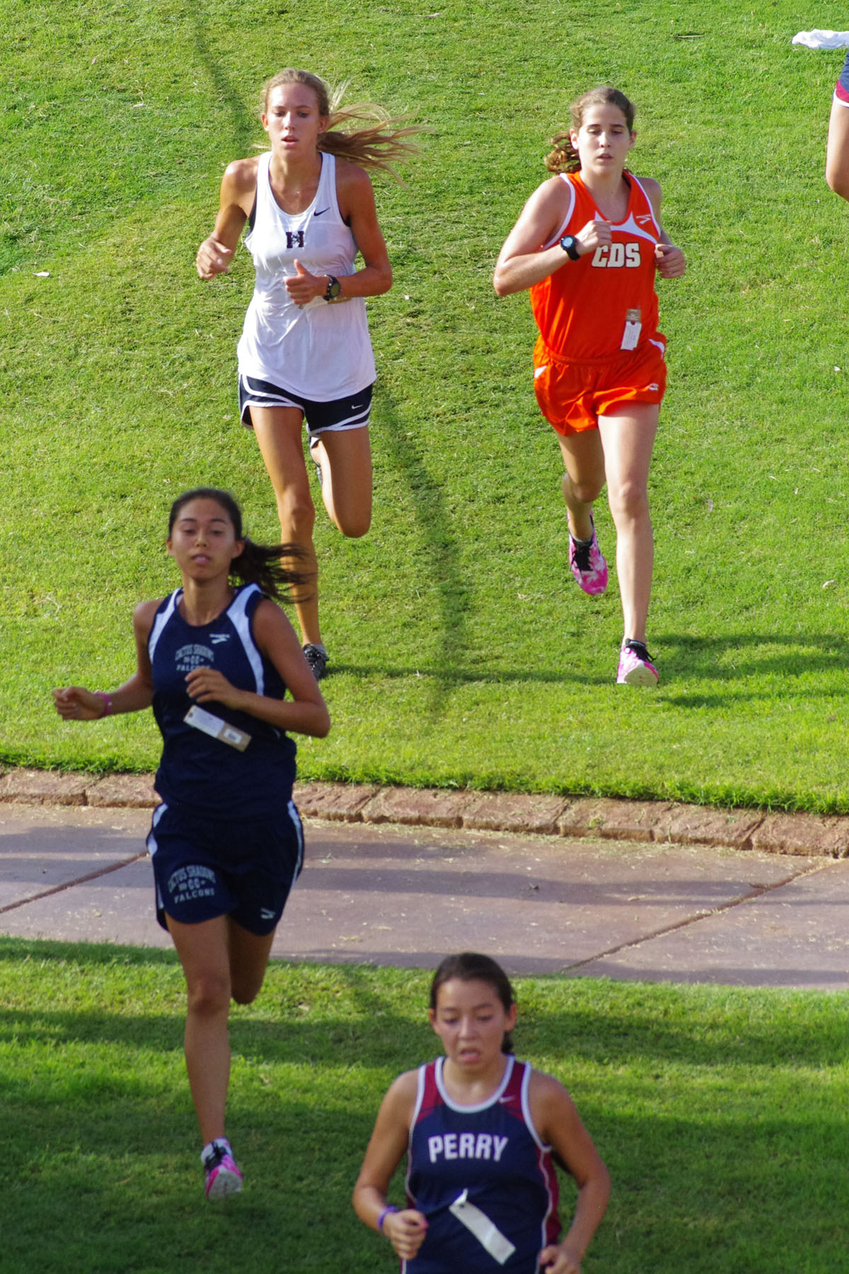 IMGP1783_C.jpg
