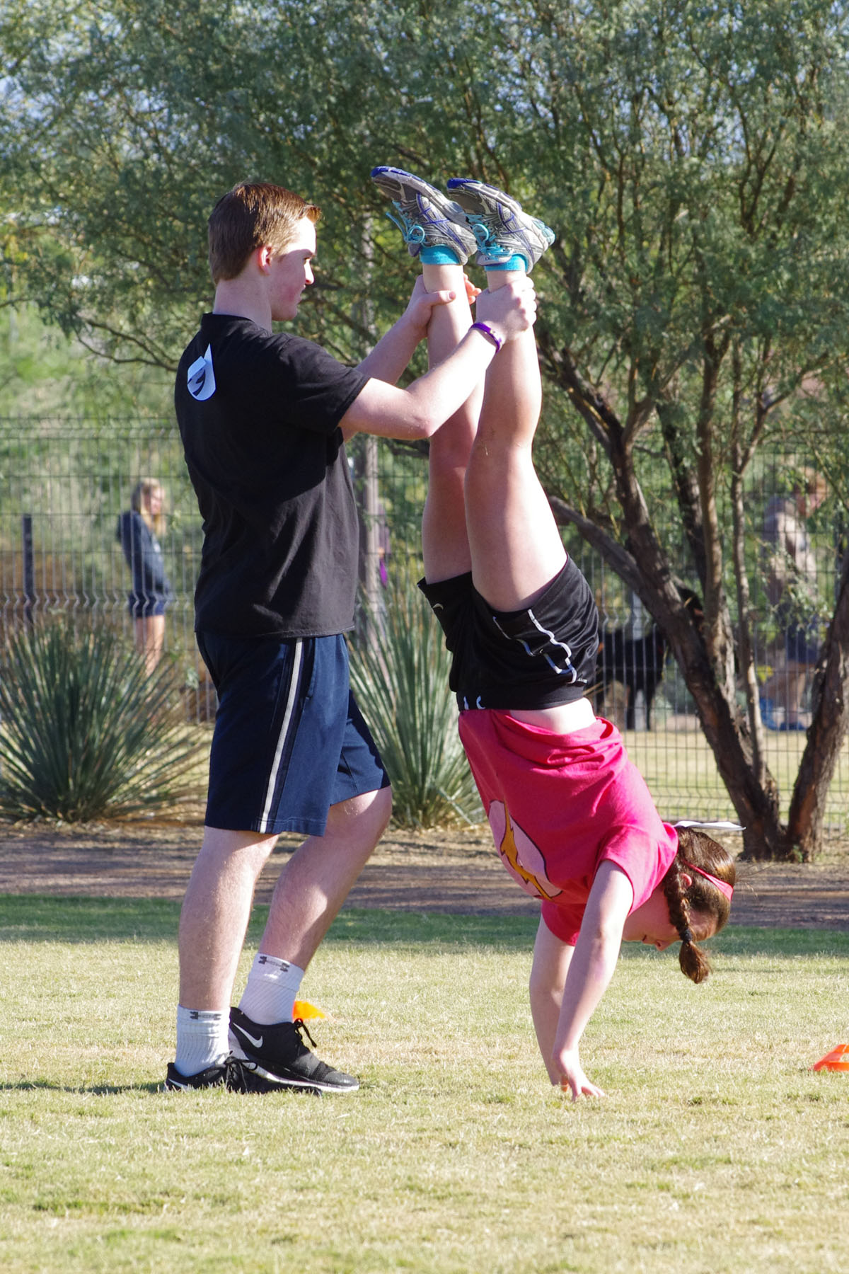 IMGP8860_C.jpg