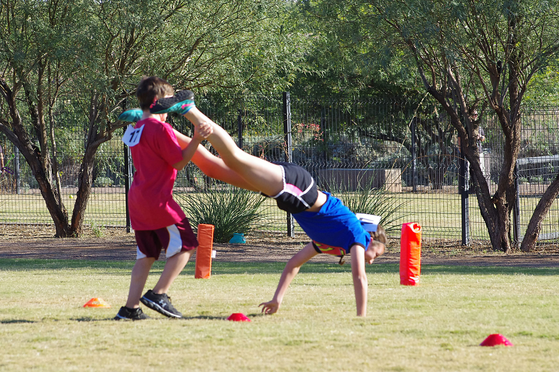 IMGP8891_CE.jpg