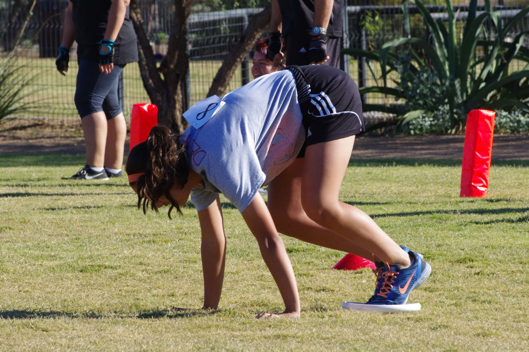 IMGP9037_C.jpg