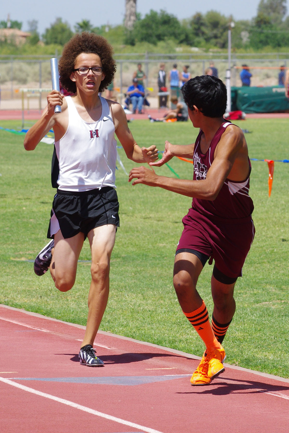 IMGP8012_C.jpg