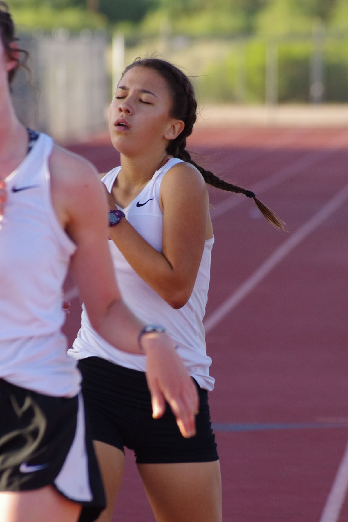 IMGP8984_C.jpg