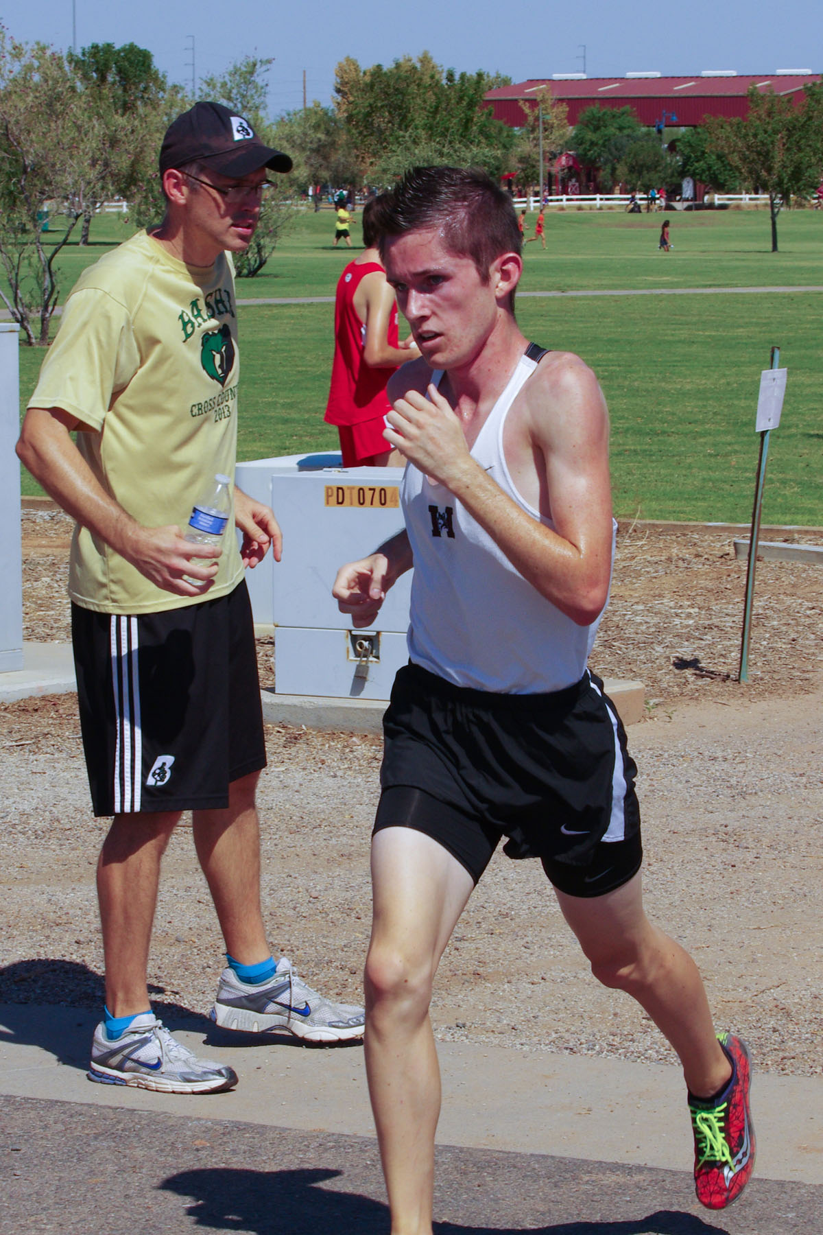 IMGP2260_C.jpg