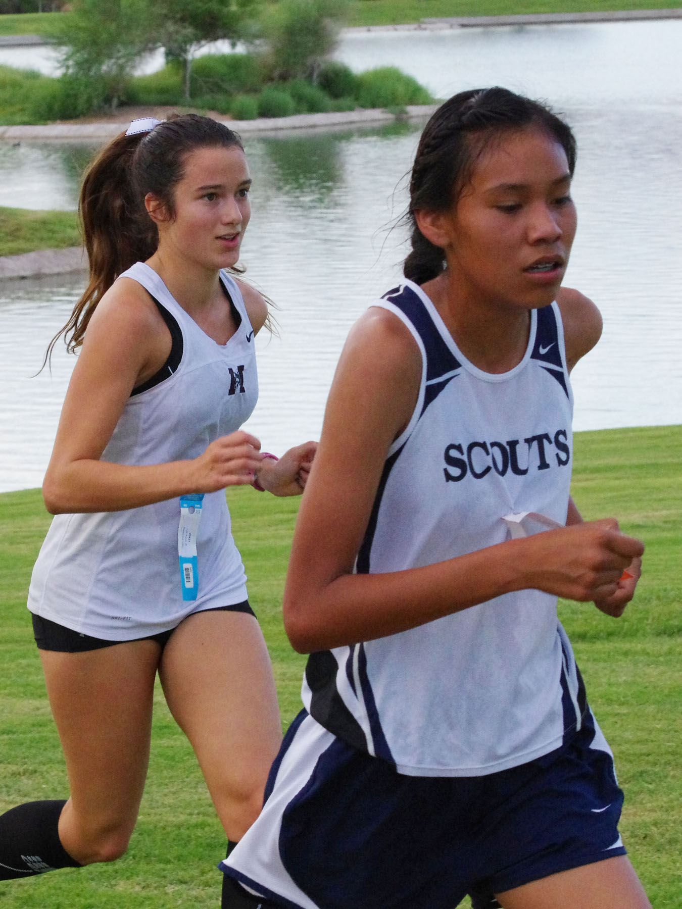 IMGP2505_C.jpg