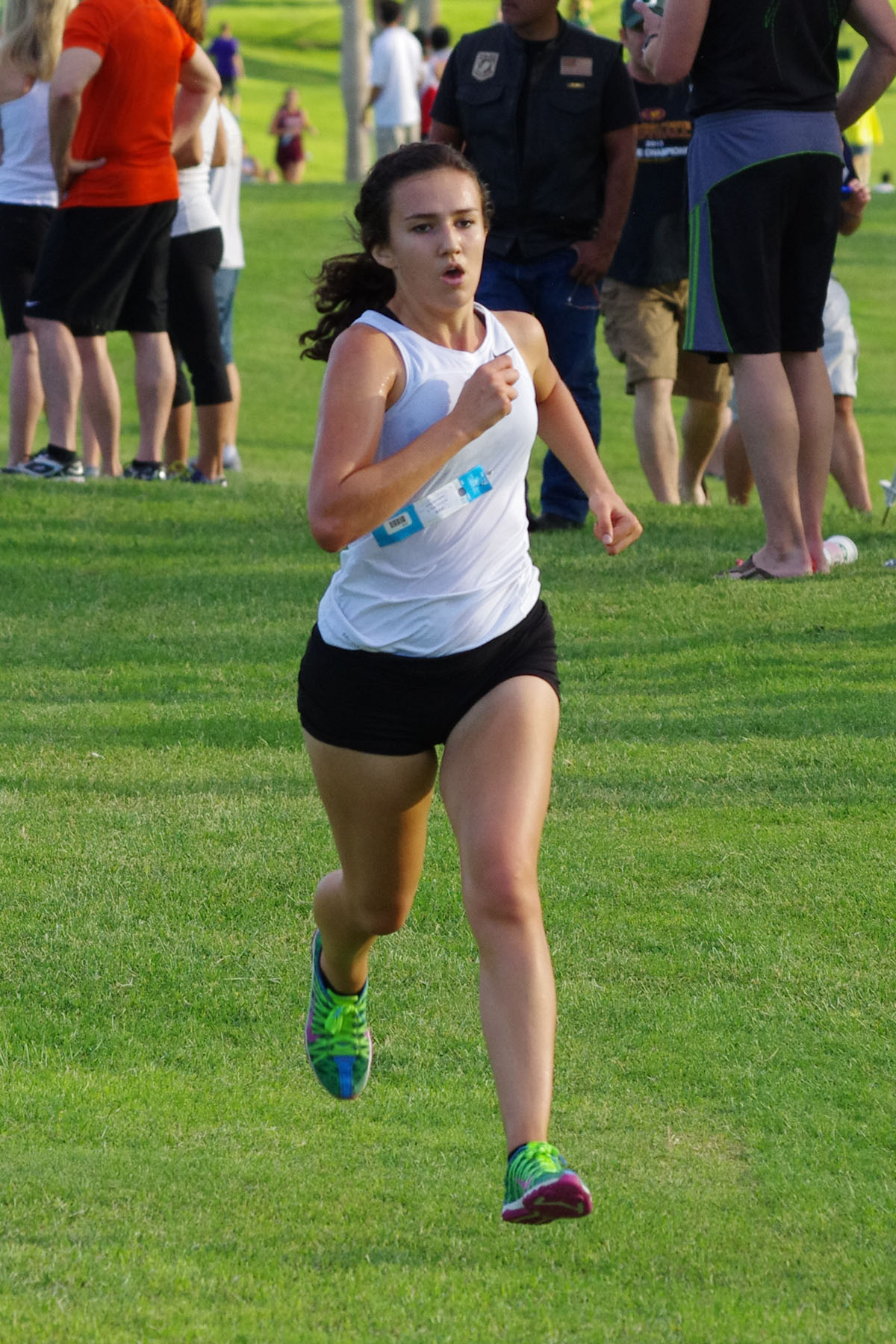 IMGP2543_C.jpg
