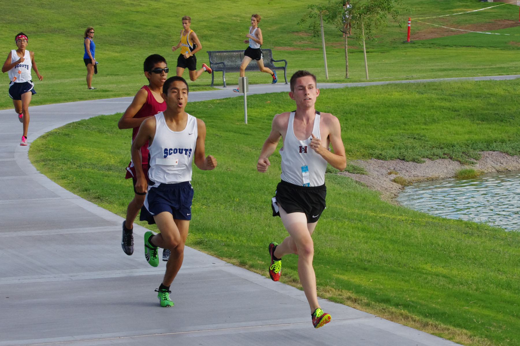IMGP2576_C.jpg