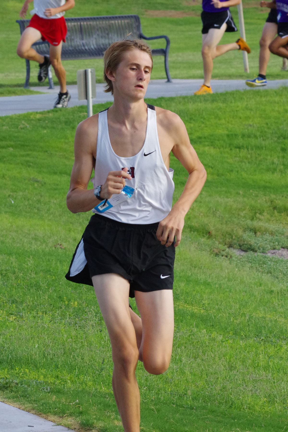 IMGP2579_C.jpg