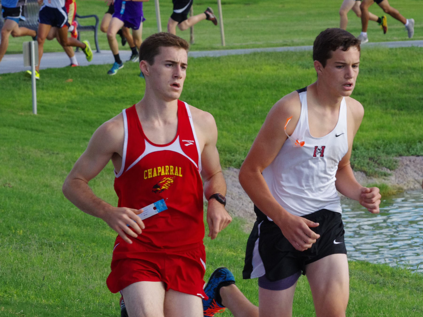 IMGP2581_C.jpg
